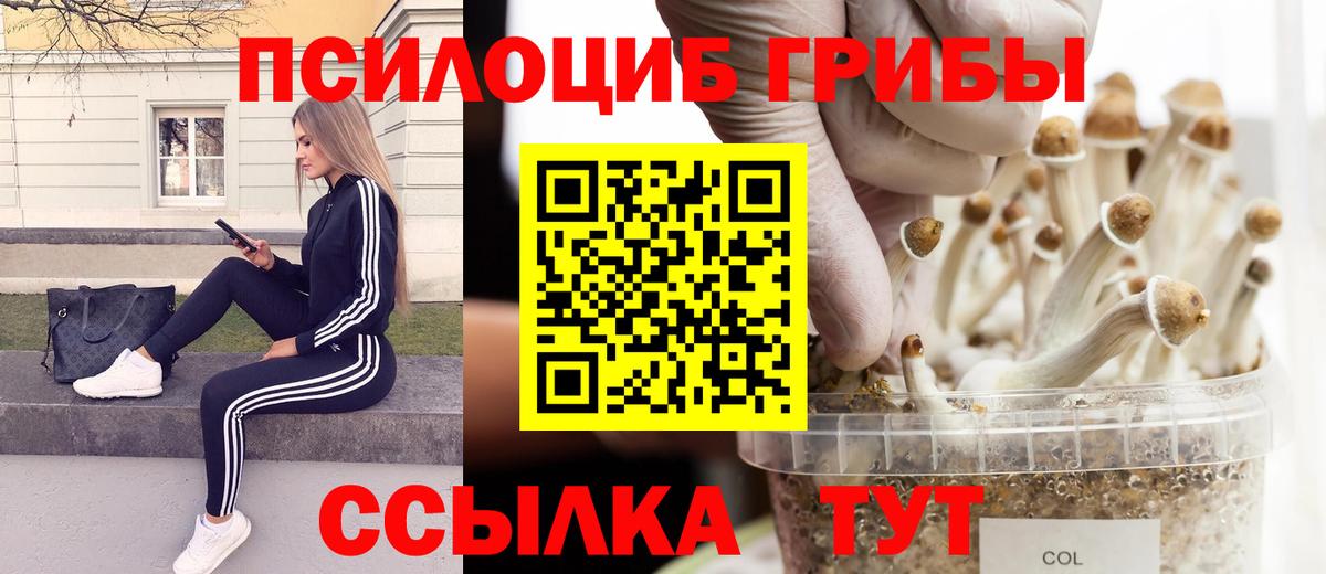 Муром  Псилоцибиновые грибы мицелий  Вход с VPN 